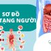 Cấu trúc 1: Dấu hiệu bệnh + Bộ phận cơ thể