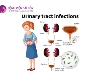 Dấu hiệu bệnh ở hệ bài tiết thường gặp