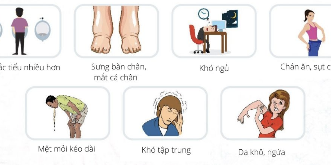 Dấu hiệu bệnh ở thận bạn nên biết