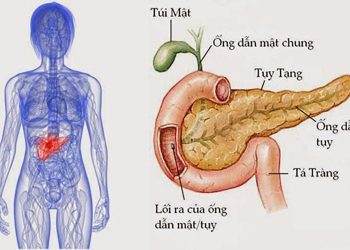 Dấu hiệu bệnh ở tuyến tụy nguy hiểm ra sao