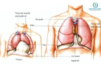 Dấu hiệu bệnh ở tuyến ức nguy hiểm thế nào