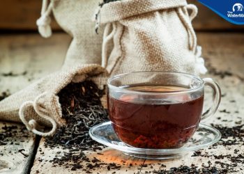 Mẹo giữ răng khỏe cho người hay ăn đồ uống trà đen