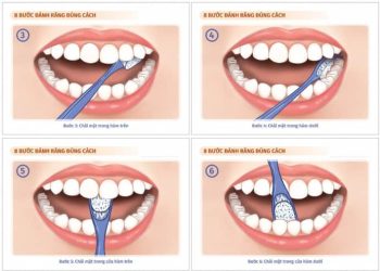 Mẹo giữ răng khỏe cho người làm việc trong ngành thiết kế