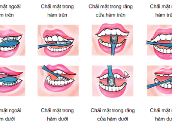 Mẹo giữ răng khỏe cho người làm việc trong ngành truyền thông